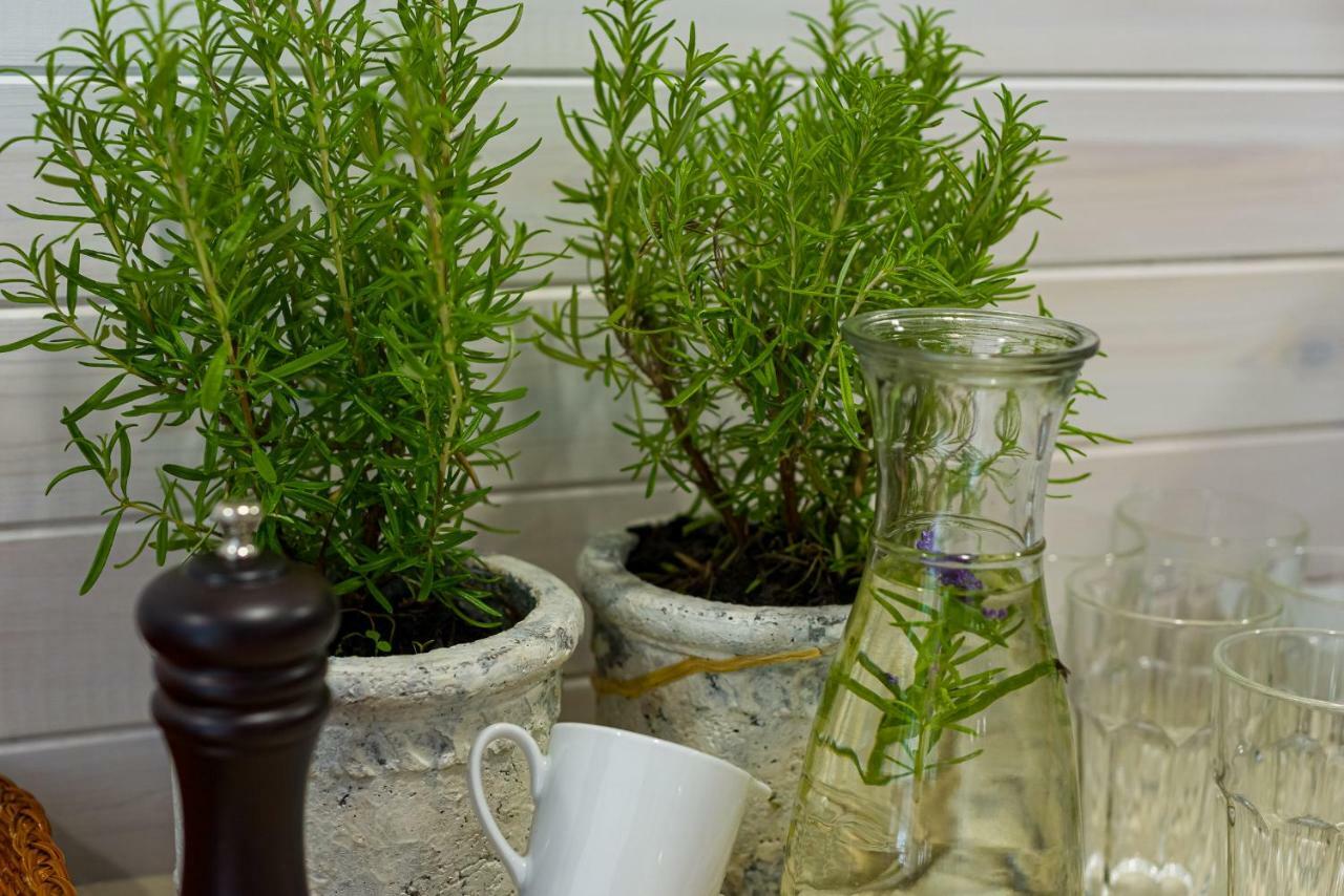 לינה וארוחת בוקר קריניצה מורסקה Natura Mierzei 30 - Pokoje Z Widokiem Na Baltyk מראה חיצוני תמונה